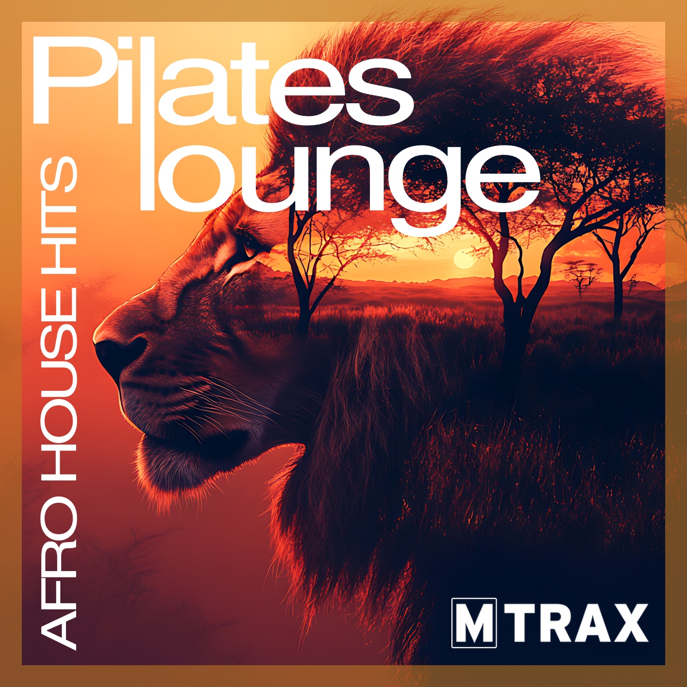 MTRAX Pilates Lounge - Afro House Hits (CD)